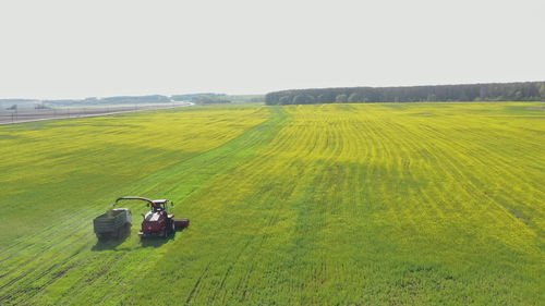 Scenic view of agricultural field against clear sky