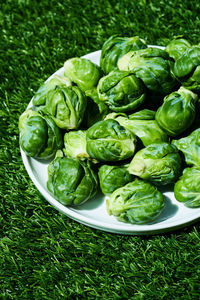 High angle view of brussels sprout in plate on field