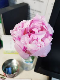 Close-up of pink flower vase on table
