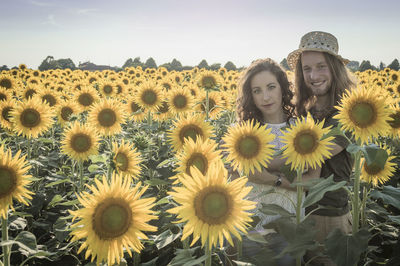 Full frame shot of sunflowers on field against sky