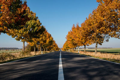 Road amidst trees against clear sky during autumn