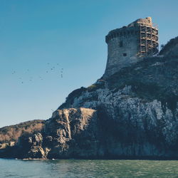 Bird flying over sea against buildings