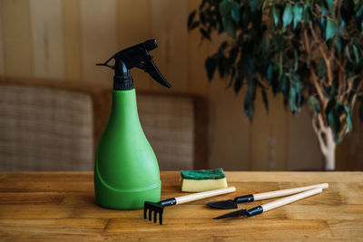 Spring houseplant care, waking up indoor plants for spring. garden tools to care houseplants at