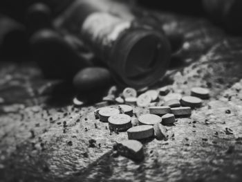 Close-up of shells on table