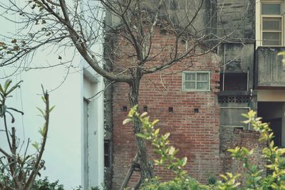 Building with trees in background