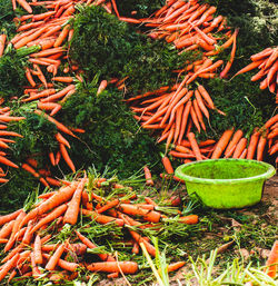 High angle view of vegetables for sale at market