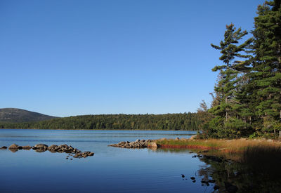 Scenic view of lake against clear blue sky