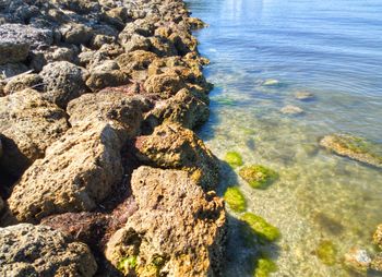 High angle view of rocks on beach