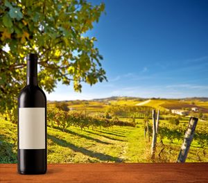 Wine bottle with blank label on landscape