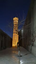 Woman standing by illuminated building against sky at night