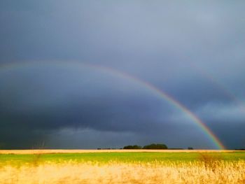 Rainbow over field