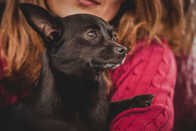 Midsection of woman with dog