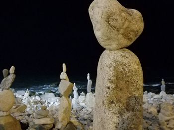 Close-up of bird perching on rock against black background