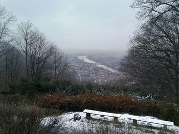 Bare trees on landscape