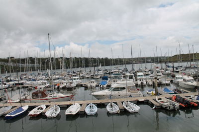 Sailboats moored at harbor