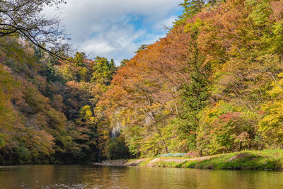 Scenic view of lake by trees against sky during autumn