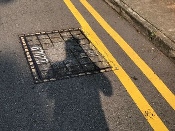 High angle view of zebra crossing on road