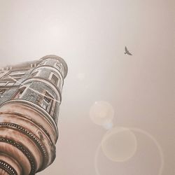 Low angle view of tree against sky