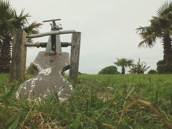 Plants growing on field
