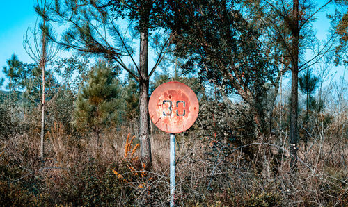 Information sign on road by trees in forest