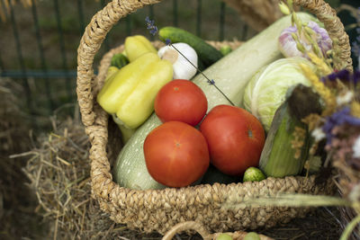 Harvest in autumn. healthy food. fresh food from garden.
