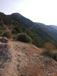 Scenic view of landscape against clear sky