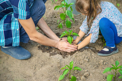 High angle view of man gardening