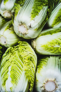 Freshly harvested  pile of napa cabbage at local farmers market