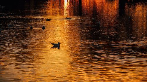 View of lake at sunset