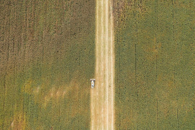 High angle view of agricultural field