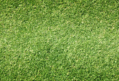 Full frame shot of soccer field