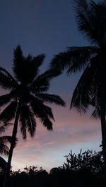 Low angle view of silhouette palm trees against sky at sunset