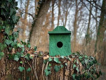 Wooden birdhouse in the forest