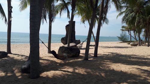 Scenic view of palm trees on beach