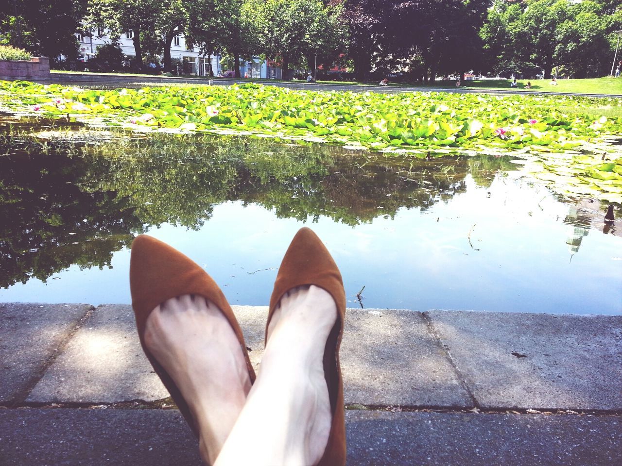 tree, low section, water, person, park - man made space, footpath, growth, cobblestone, paving stone, personal perspective, sunlight, outdoors, plant, street, day, park, shoe, leaf, nature, pavement