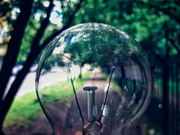 Close-up of crystal ball on glass against trees