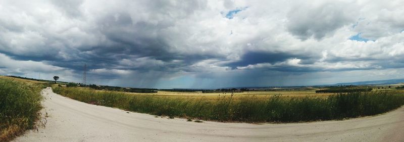 Scenic view of field against sky