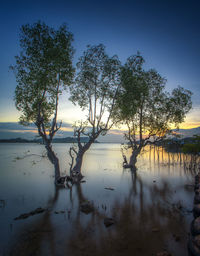 reflection