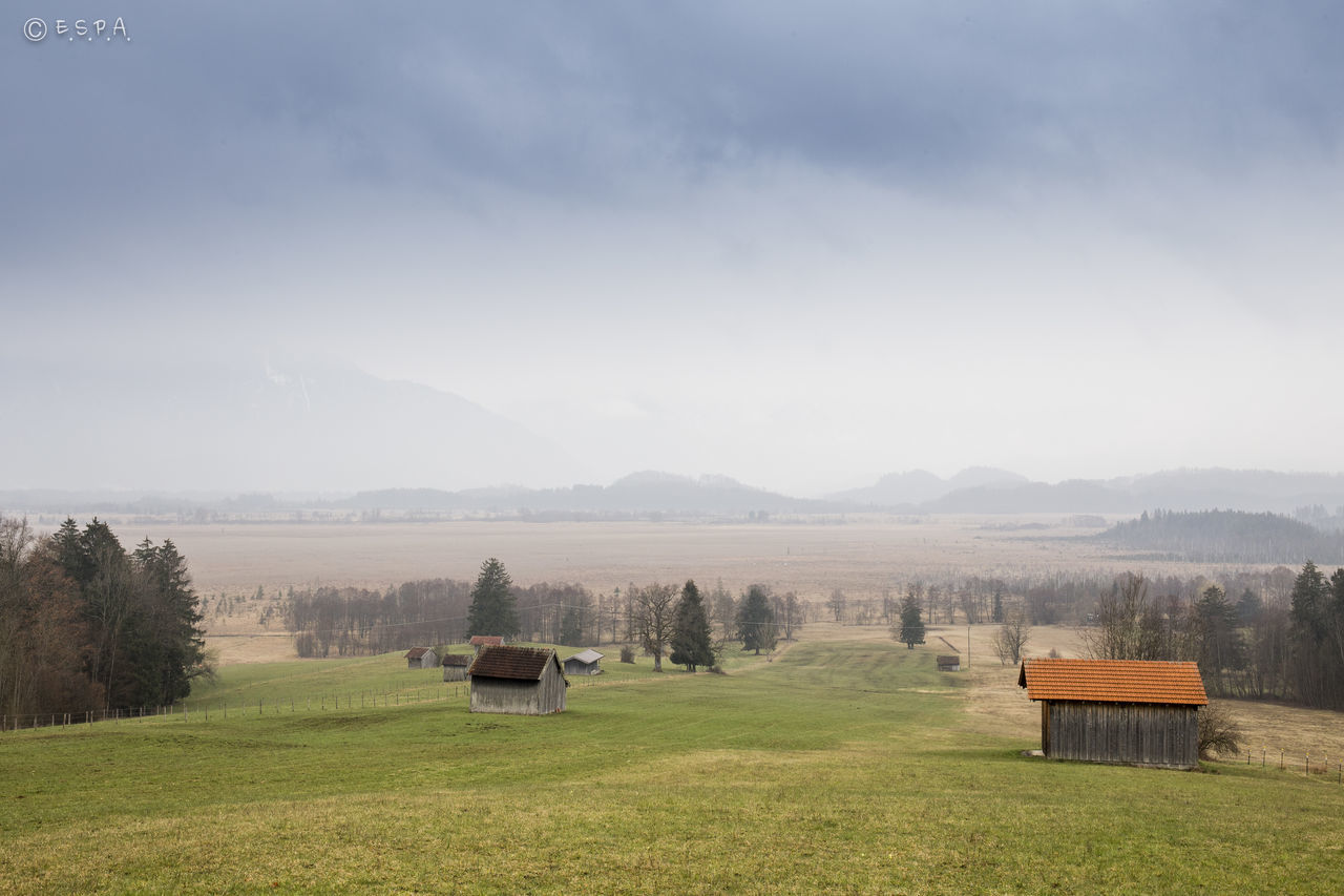 SCENIC VIEW OF RURAL LANDSCAPE