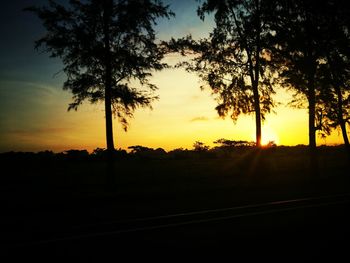 Silhouette trees against sky during sunset