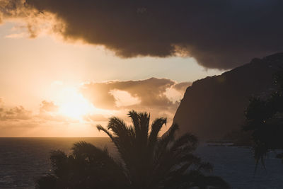 Silhouette palm trees by sea against sky at sunset