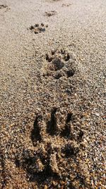 High angle view of footprints on sand at beach