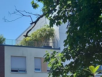 architecture