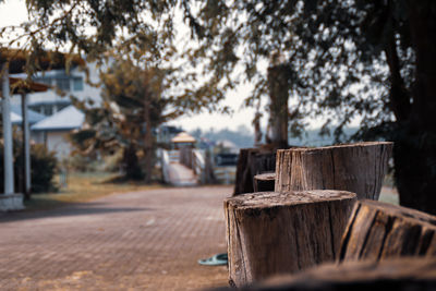 Close-up of wooden logs outdoors