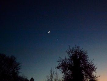 Low angle view of silhouette trees against sky at night