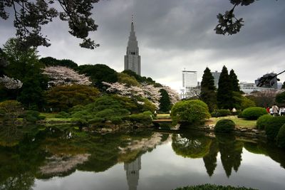 Reflection of trees and building in lake