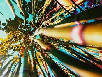 Low angle view of illuminated lights