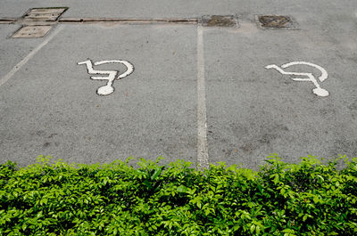 High angle view of arrow sign on plant