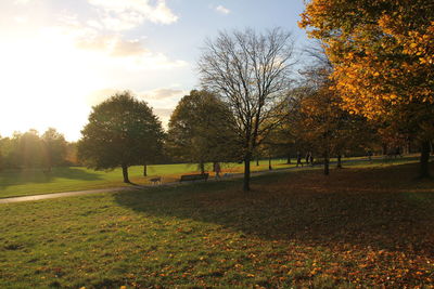 Trees on grass against sky