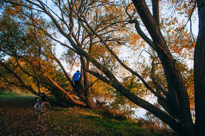 Man amidst trees in forest during autumn